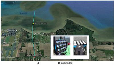 Intercomparison of Approaches to the Empirical Line Method for Vicarious Hyperspectral Reflectance Calibration